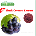 Blackcurrant Ribes nigrum 35% Anthocyanins